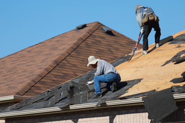 Roof Restoration